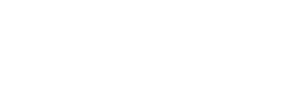 Torch