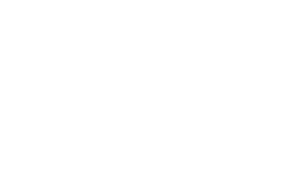 VergeSense